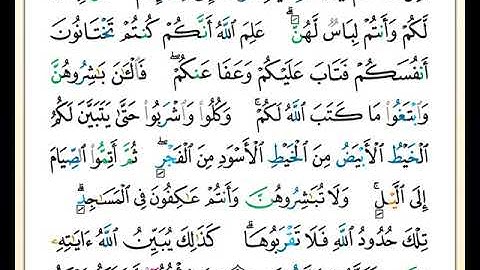 الصفحة رقم ( 29 ) من ختمة مصحف التجويد برواية حفص بصوت القارئ محمد حبش