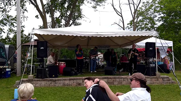 Peacefest 2019 @ LA Cafe in Waterford, MI