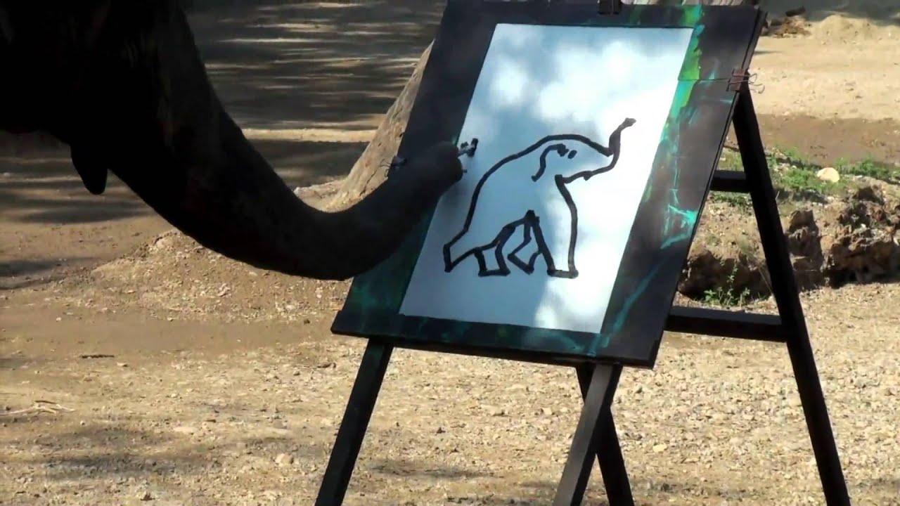 The Superior Human (2012)(Trailer)