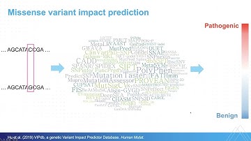 Computational variant and genome interpretation