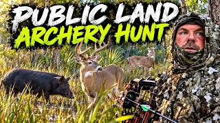2026 Florida Public Land Archery Hunt 1st week *** it's been a Challenge!!!