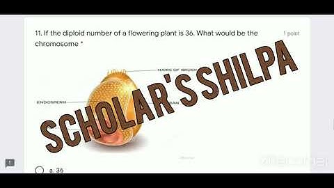 PAS google quiz 2 Biology Class 10+1 Date 13--08-2021#PSEB #SOLUTION#HUB