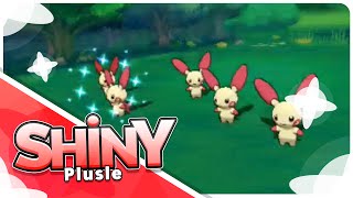 Live Shiny Plusle At Only 93 Horde Encounters