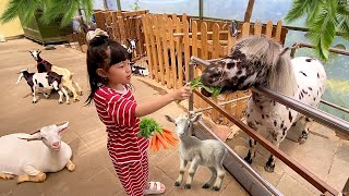 Kasih Makan Kuda Poni, Kambing Kerdil, Marmut dan Domba - Mengenal Binatang untuk Anak by harper apple 14,394 views 3 weeks ago 9 minutes, 4 seconds