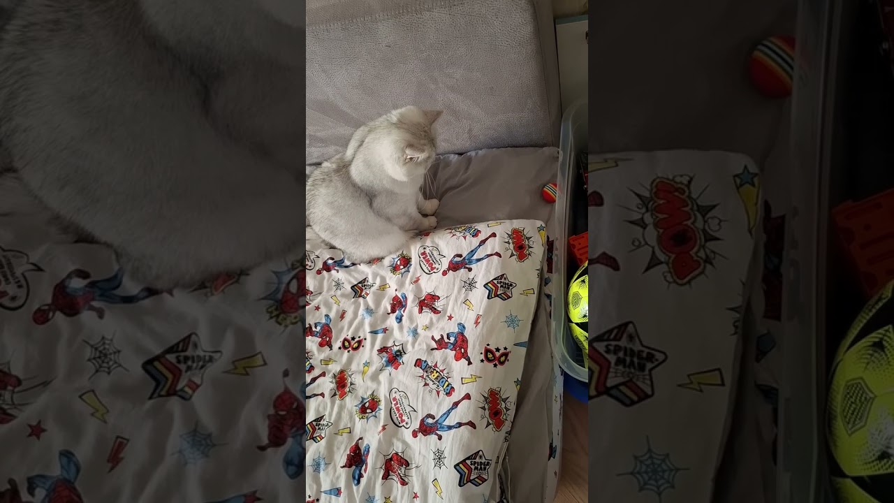 ⛔️ДАВАЙ ПО ПОРЯДОКУ🤣🔥👌