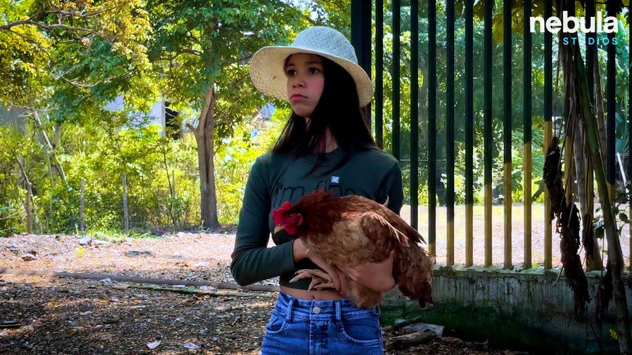 Jovencita se llevaba las gallinas de sus vecinas, hasta que pasó esto