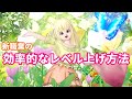新職業の効率的なレベル上げの方法について【ドラクエ10】てぃあのちいさな冒険日記