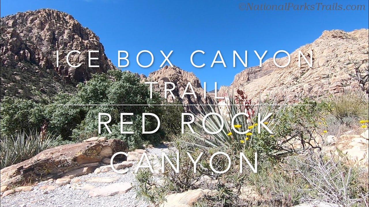 Ice Box Canyon to Waterfall Hike, Red Rock Canyon, Virtual Treadmill