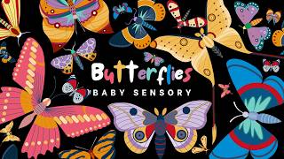 Detalles Sensory Butterfly Delight 🦋 High Contrast Eye Tracking | Flower Visual Autism-Friendly Animation 👶🌸 Noticias