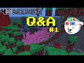 4D Miner Q&A Video #1 thumbnail