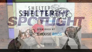 Sponsored Content: Shelter Spotlight - Denmark aka "Denny"
