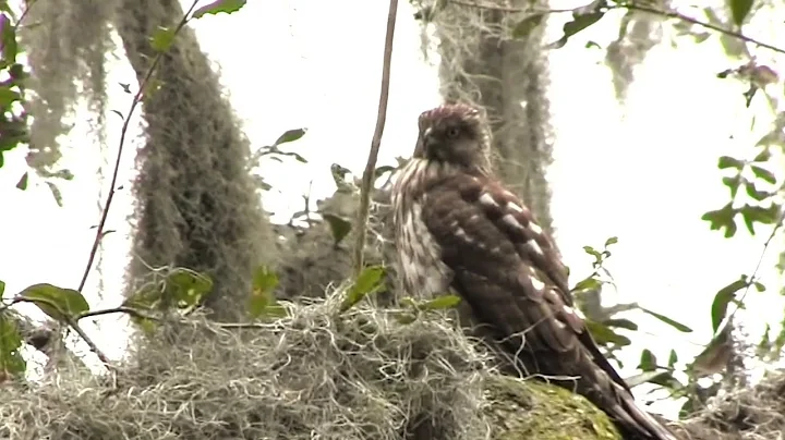 Savannah National Wildlife Refuge