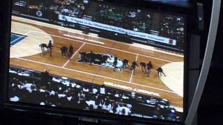 Torino-Grace Jazz State 2011