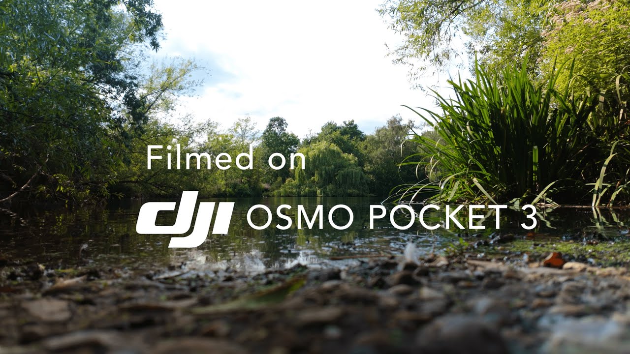 Wandsworth Common | Filmed on DJI Osmo Pocket 3