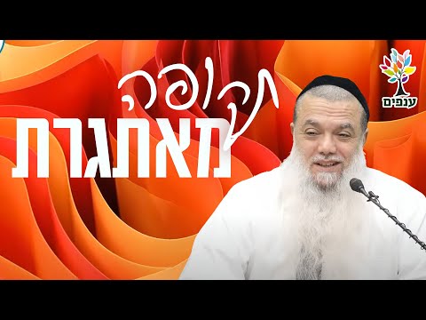 הרב יגאל כהן | תקופה מאתגרת |🔴שידור חי