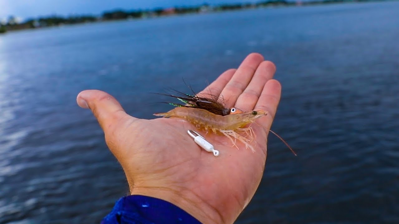 How Long To Leave Bait In Water