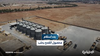 المنحة الرئاسية تحفز مزارعي محافظة حلب لتسليم محصول القمح إلى مؤسسة الحبوب