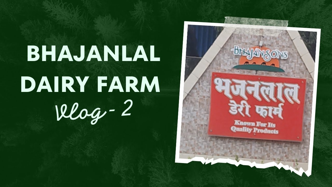Bhajan Lal Dairy Farm Hidden Gem of Vasai vlog 2 YouTube