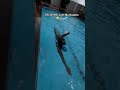 Swimming lessons are available