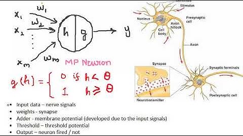 MP Neuron (Part 1)