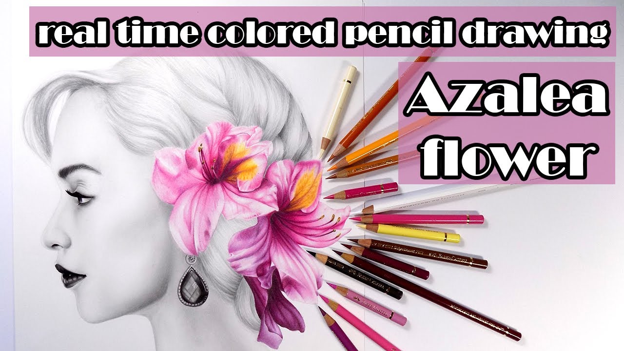 Azalea flower in colored pencil - real time drawing