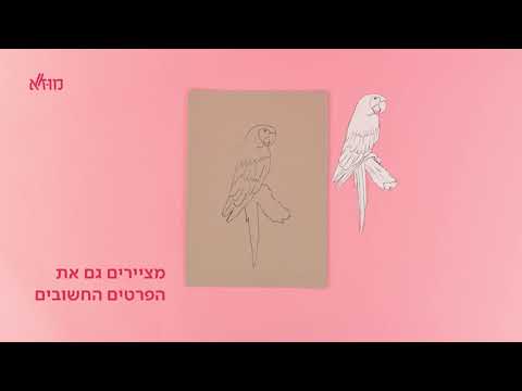 וִידֵאוֹ: הביאנלה החדשה