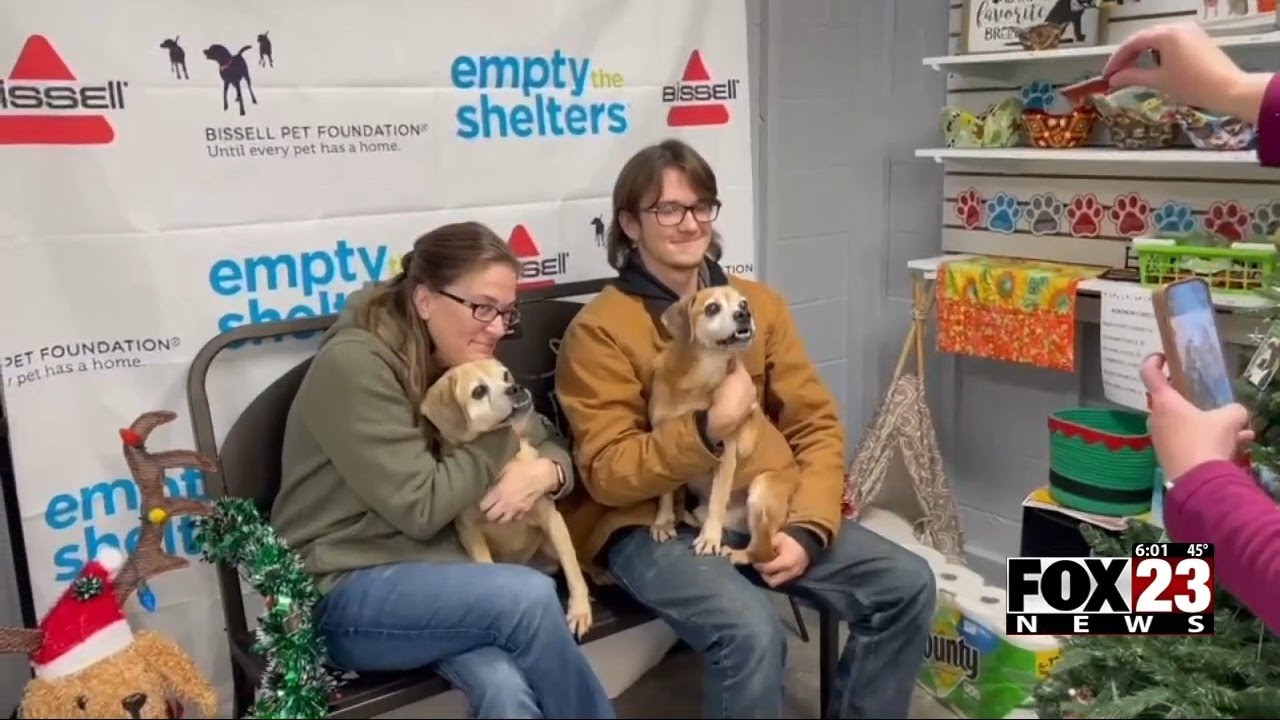 Video: Two missing dogs reunited with Pawhuska family after month apart ...