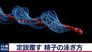 「精子は回転しながら前進」 300年以上の定説を覆す イギリスなど研究（2020年8月3日）