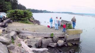 Spotlight: Art and Environment - Maya Lin