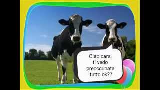 Barzelletta | la Mucca preoccupata.