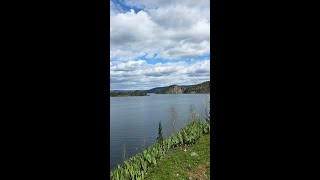 Galaxy S25 Ultra | Sketch to Image | Samsung