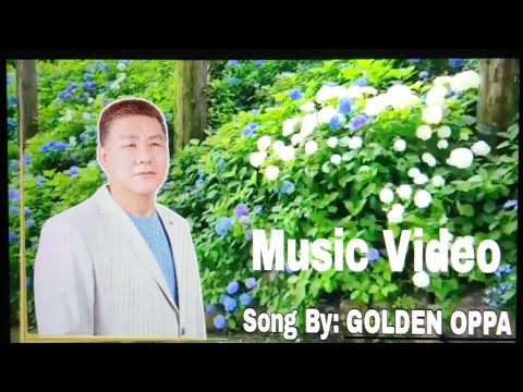 Music Video | Song By GOLDEN OPPA | #video #song #korean #youtubevideo @goldensea
