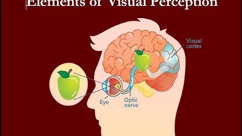 Elements of Visual Perception
