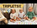 Morning With Reborn Triplets | Pippa Gets A New Bed #reborn #rebornroleplay #rebornbaby