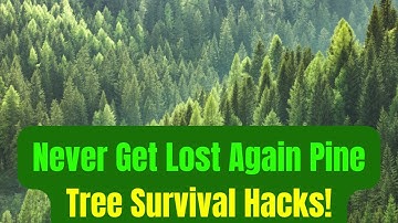 Life Saving Tricks Hidden in Pine Trees!