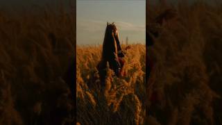 E And Wolf Holo Charakter In Reallife