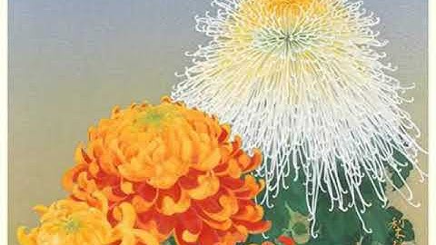 Kizoa Movie - Video - Slideshow Maker: ART 279 Final Projection - Images for Projection Slideshow