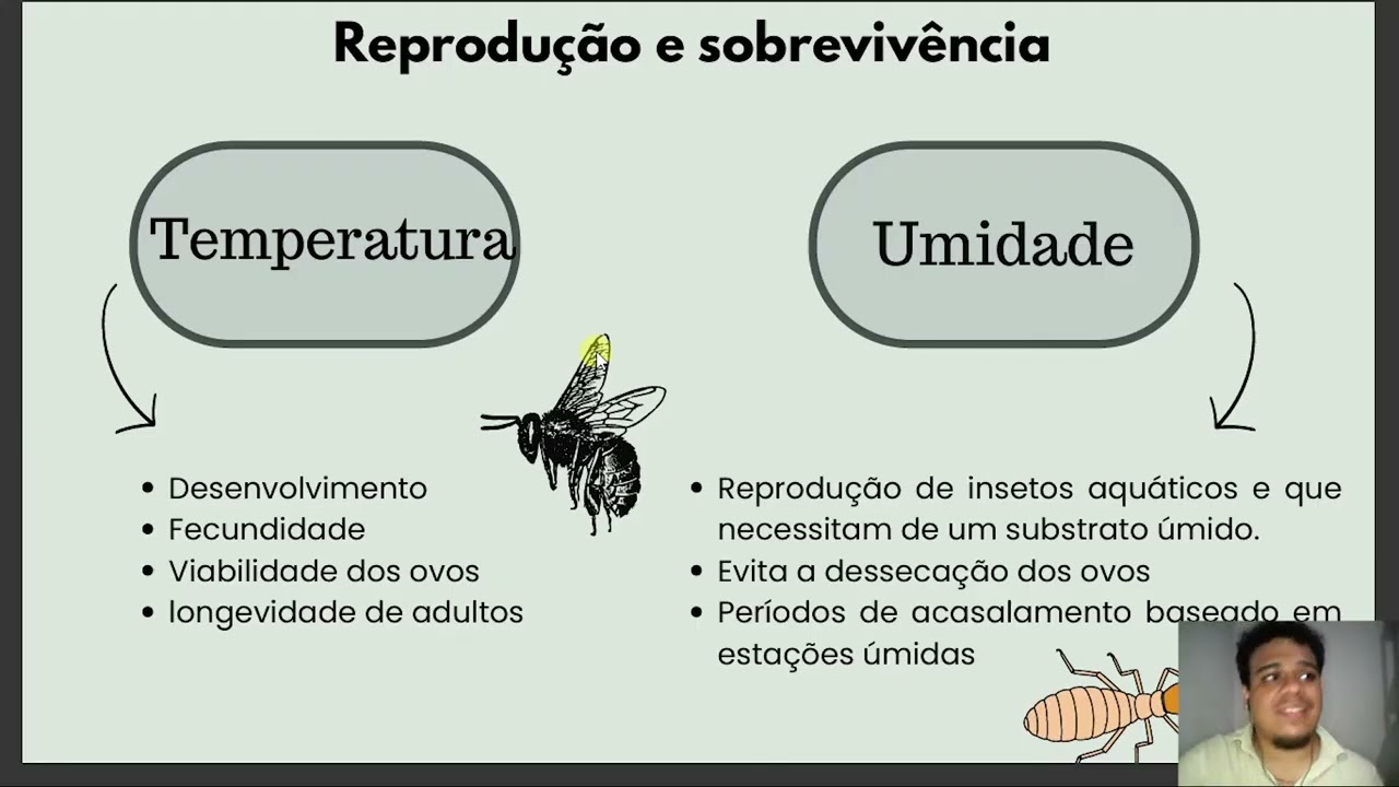Minicurso: Ecologia de Insetos