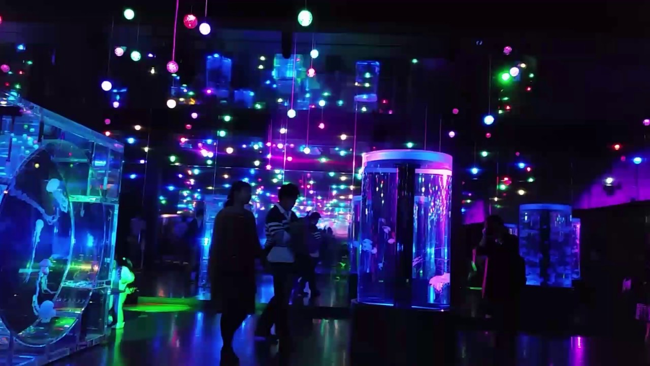 なーななーななーななーななな Youtube