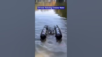 Chinese Amphibious Robodog Crosses Water and Shoots Targets