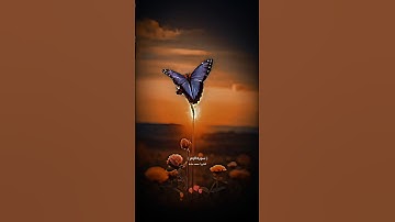 آيات من سورة الزمر / القارئ محمد عبادة / وقالوا الحمد لله الذي صدقنا وعده و أورثنا الأرض