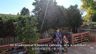 电影“路桥传奇”精彩片花 中国文化 Movie "Legend of highways & bridges" clip - Chinese culture