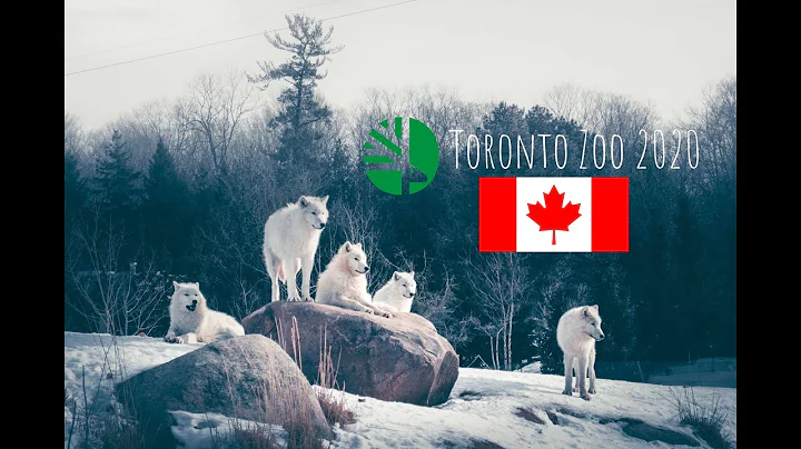 TORONTO ZOO FULL TOUR 2020 | Winter Edition [4K] b...