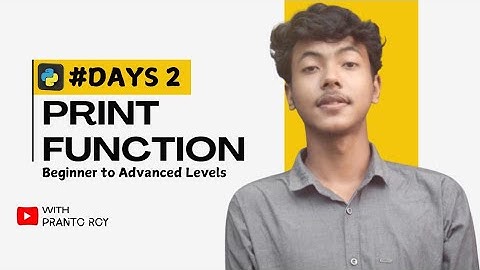 #2 Day, Python Input, Output & Print Function Tutorial for Beginners!