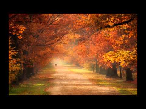 Corazón Contento Palito Ortega