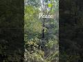 Nature Like Mantra #likemantra #peacefulchants #mantrameditation #peace #innerlight