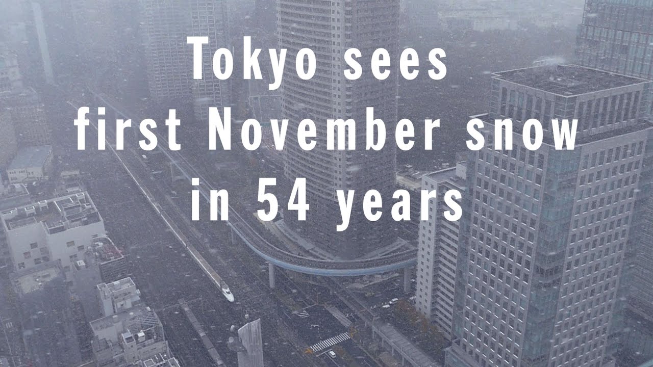 Tokyo sees first November snow in 54 years |54年ぶり 東京で11月に積雪 2016-11-24