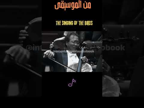      موسيقى تحمل روح الطبيعة    