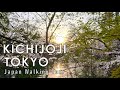 Japan walking tour in Tokyo Kichijoji 4K 60fps HDR