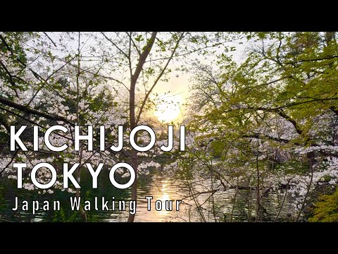 Tokyo, اليابان | Kichijoji | جولة مشي 4K